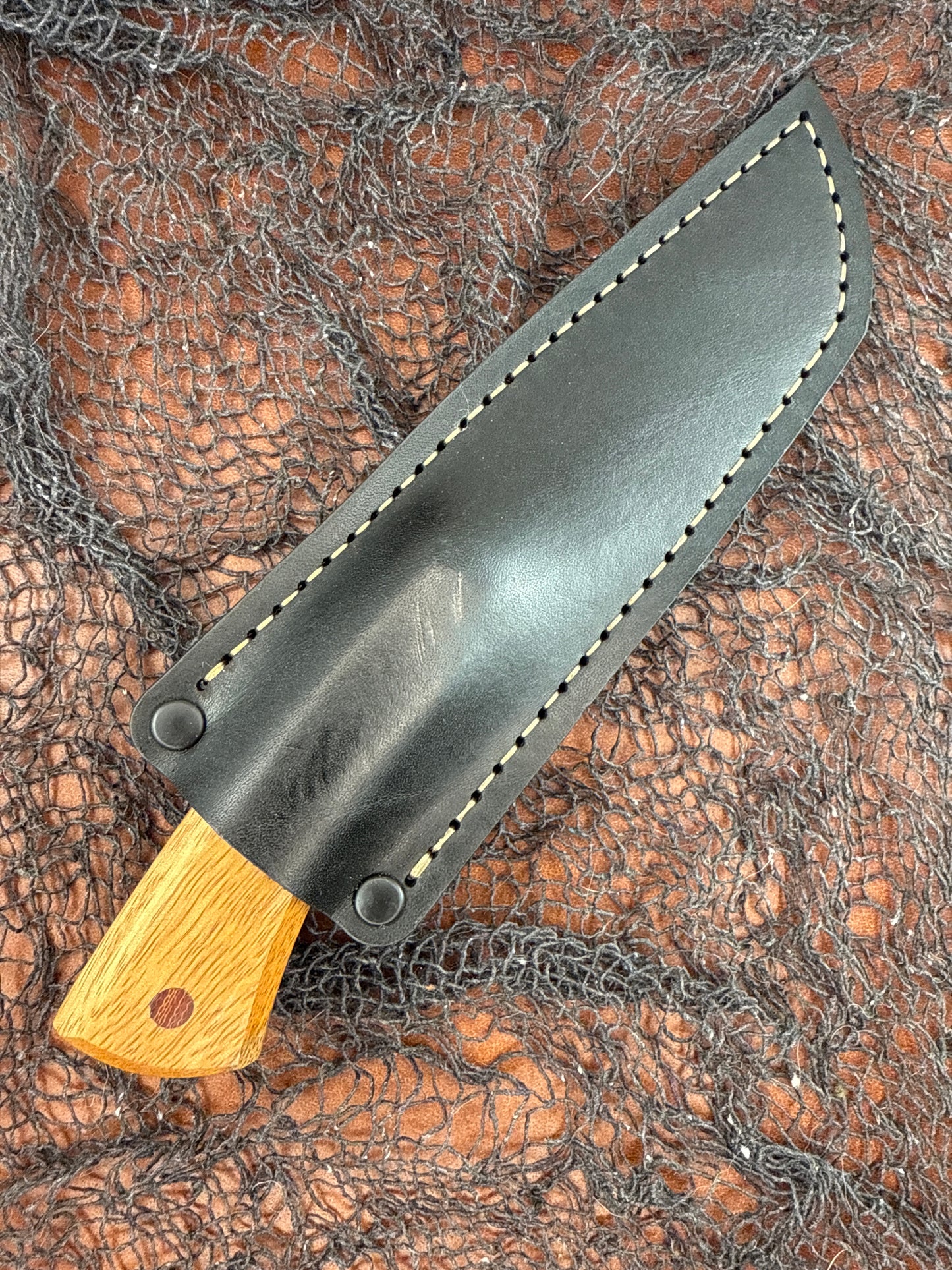 Gator