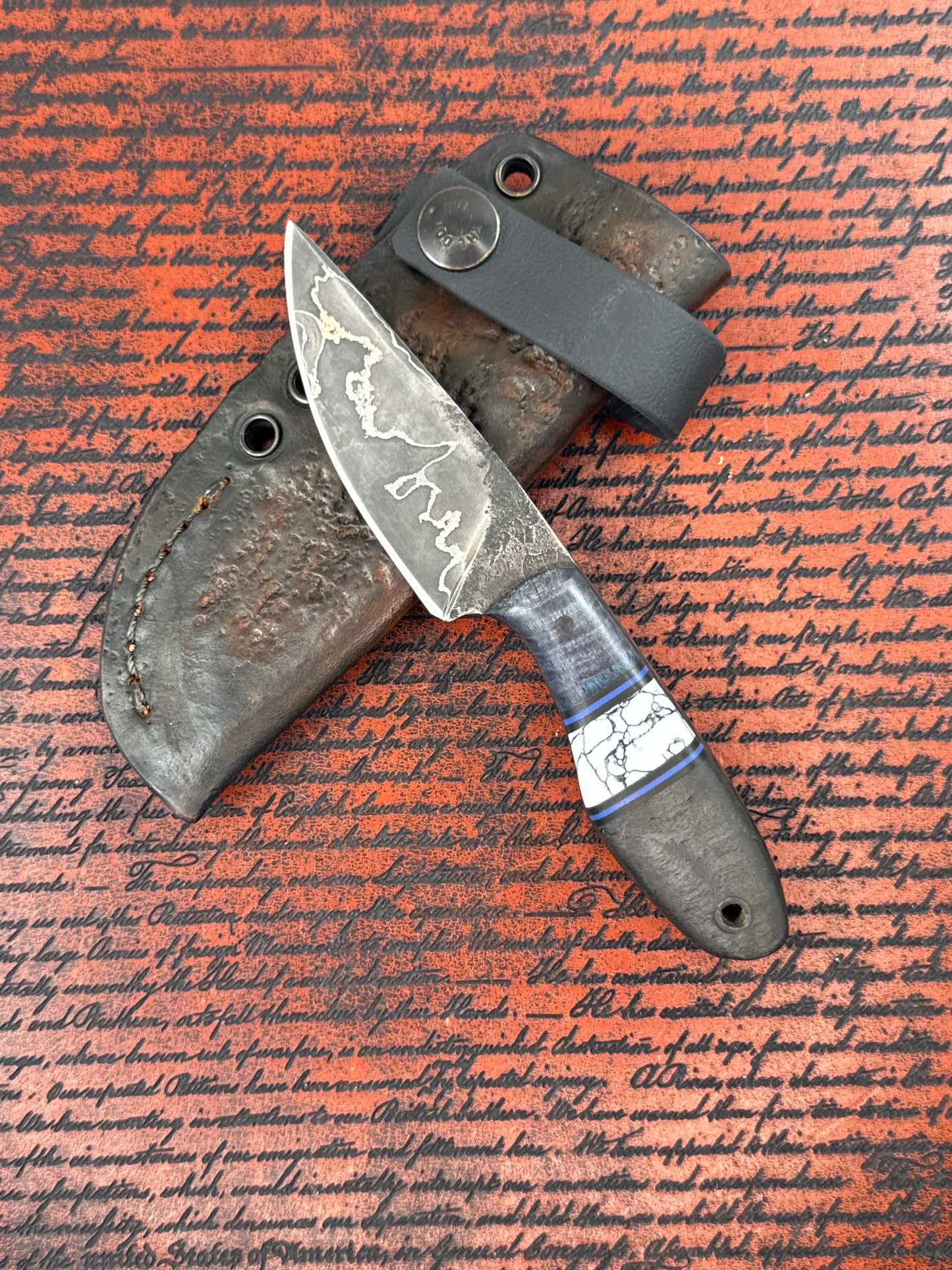 Black Bird Small Finch ( Used without box )