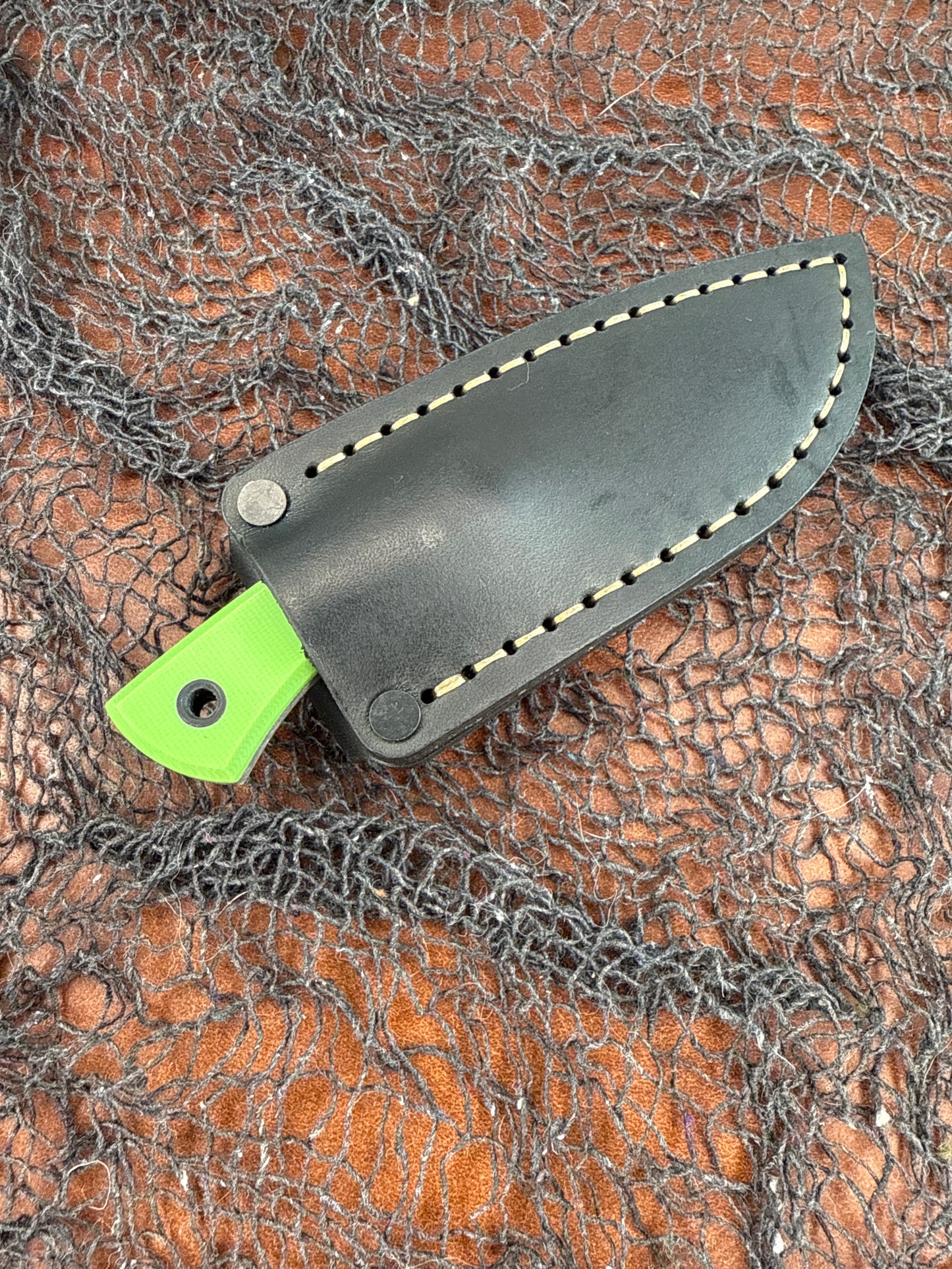 Dressed Scarab