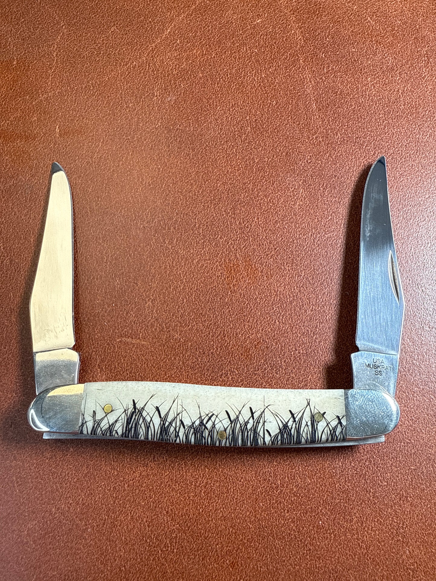 No#12512 Natural bone smooth muskrat