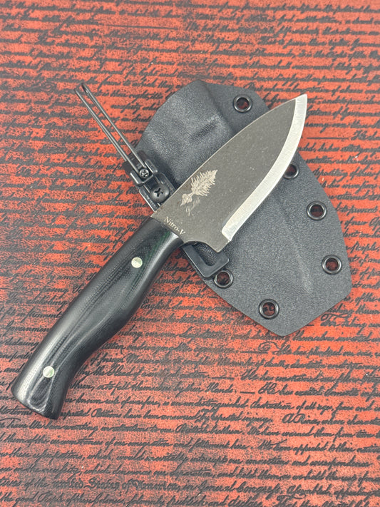 Eastern Kentucky #160