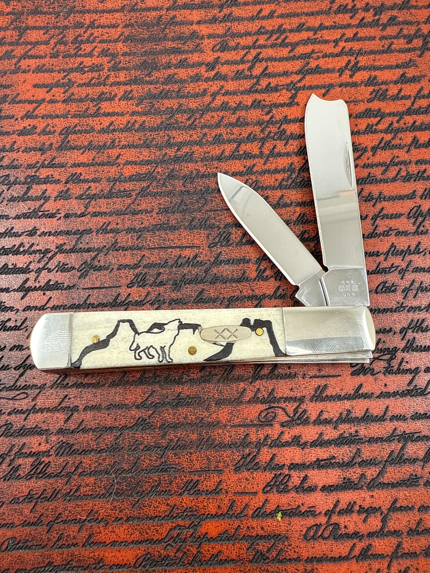 Case xX David yellow horse ( wolf valley )No 13316