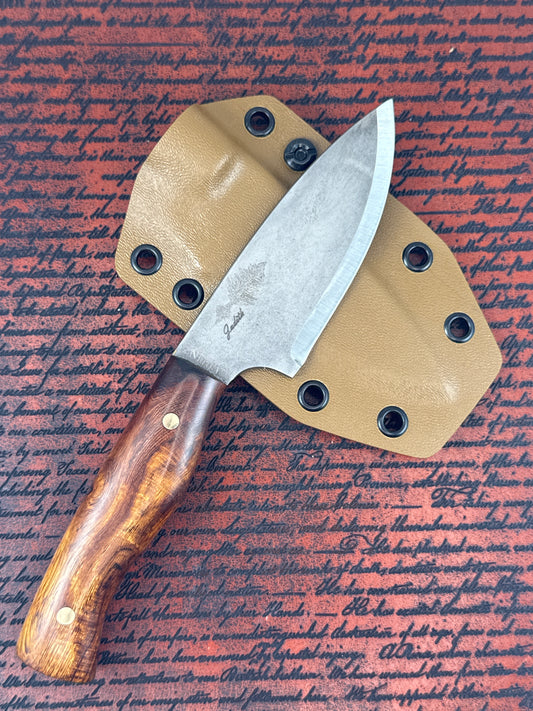 Eastern Kentucky #123