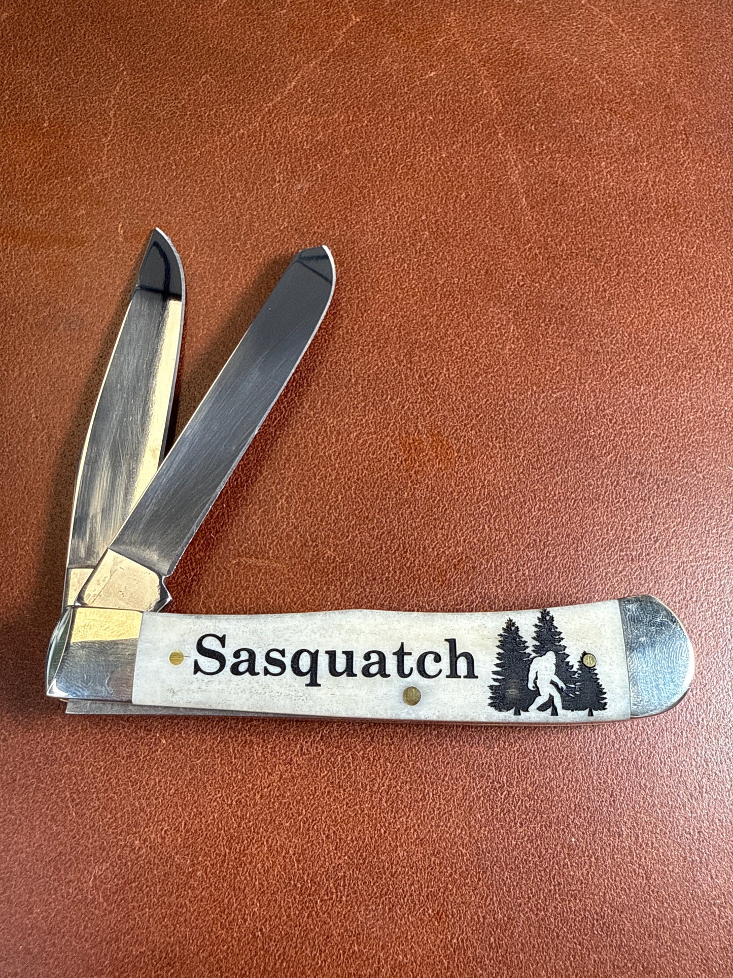 Sasquatch trapper