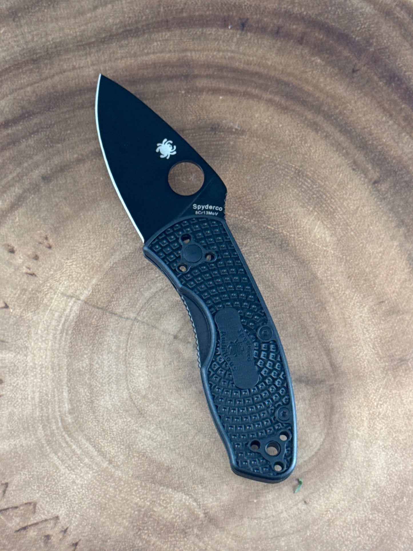 Spyderco Ambitious ( New with Box )