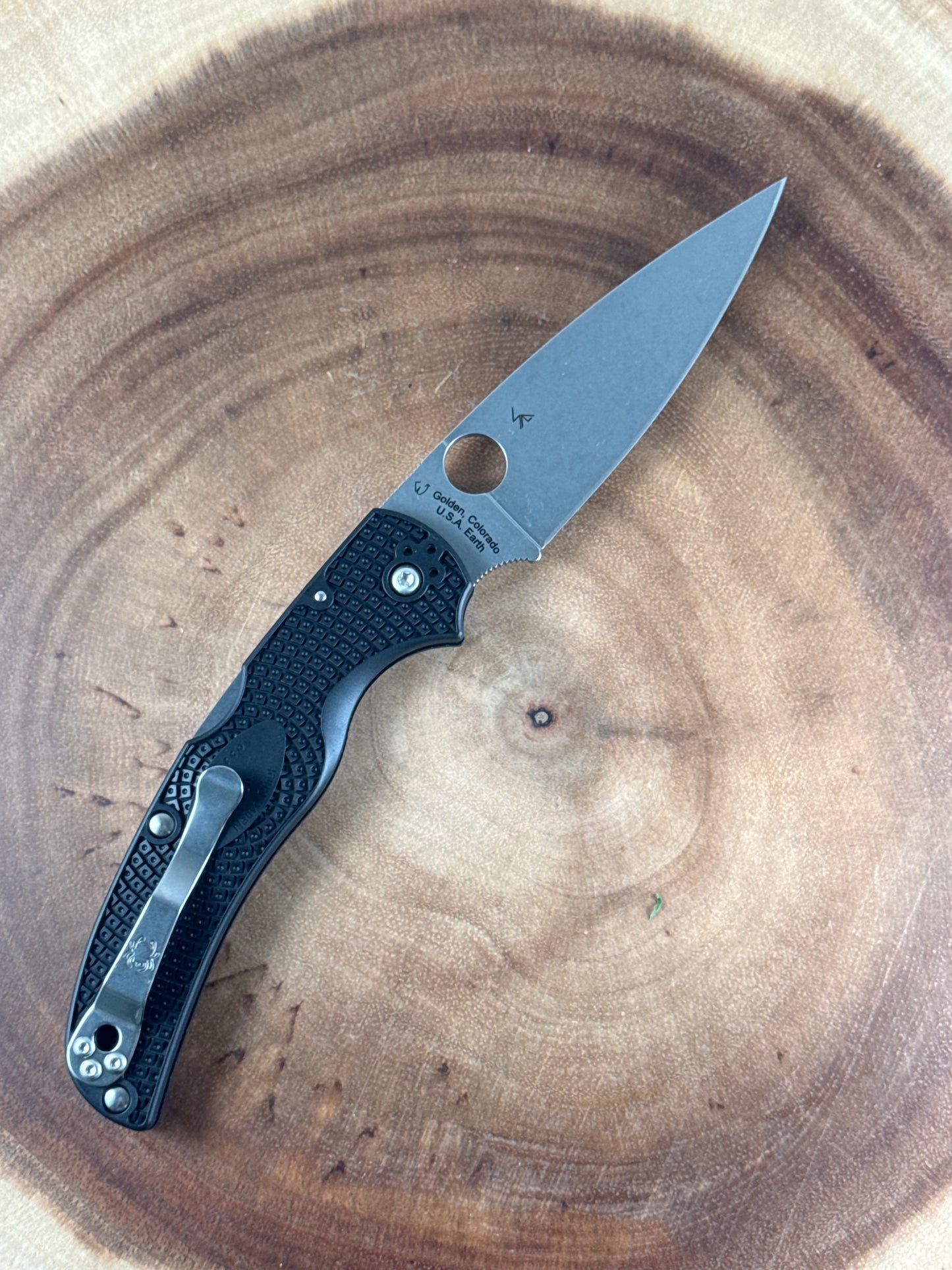 Spyderco Native Chief ( New with Box )