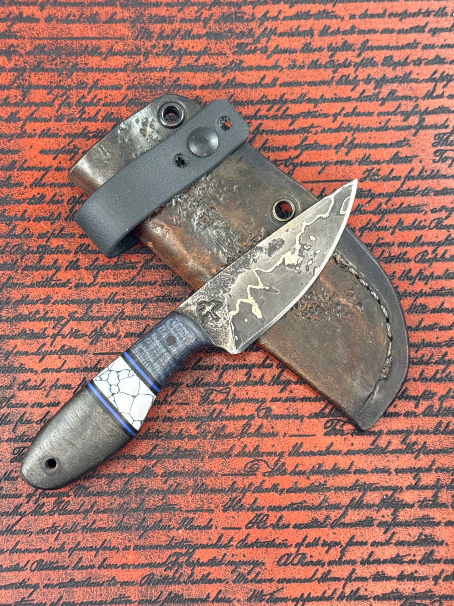 Black Bird Small Finch ( Used without box )