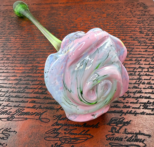 X Large rose