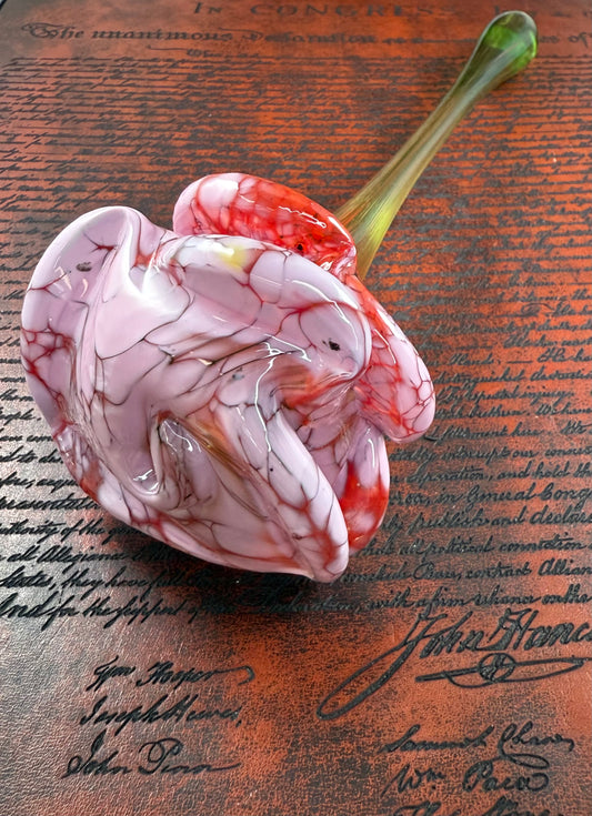 X Large rose