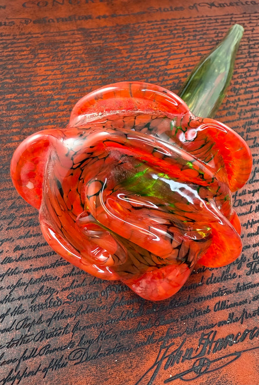 X Large rose