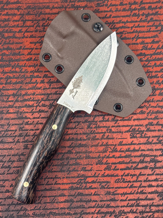 Eastern Kentucky #164