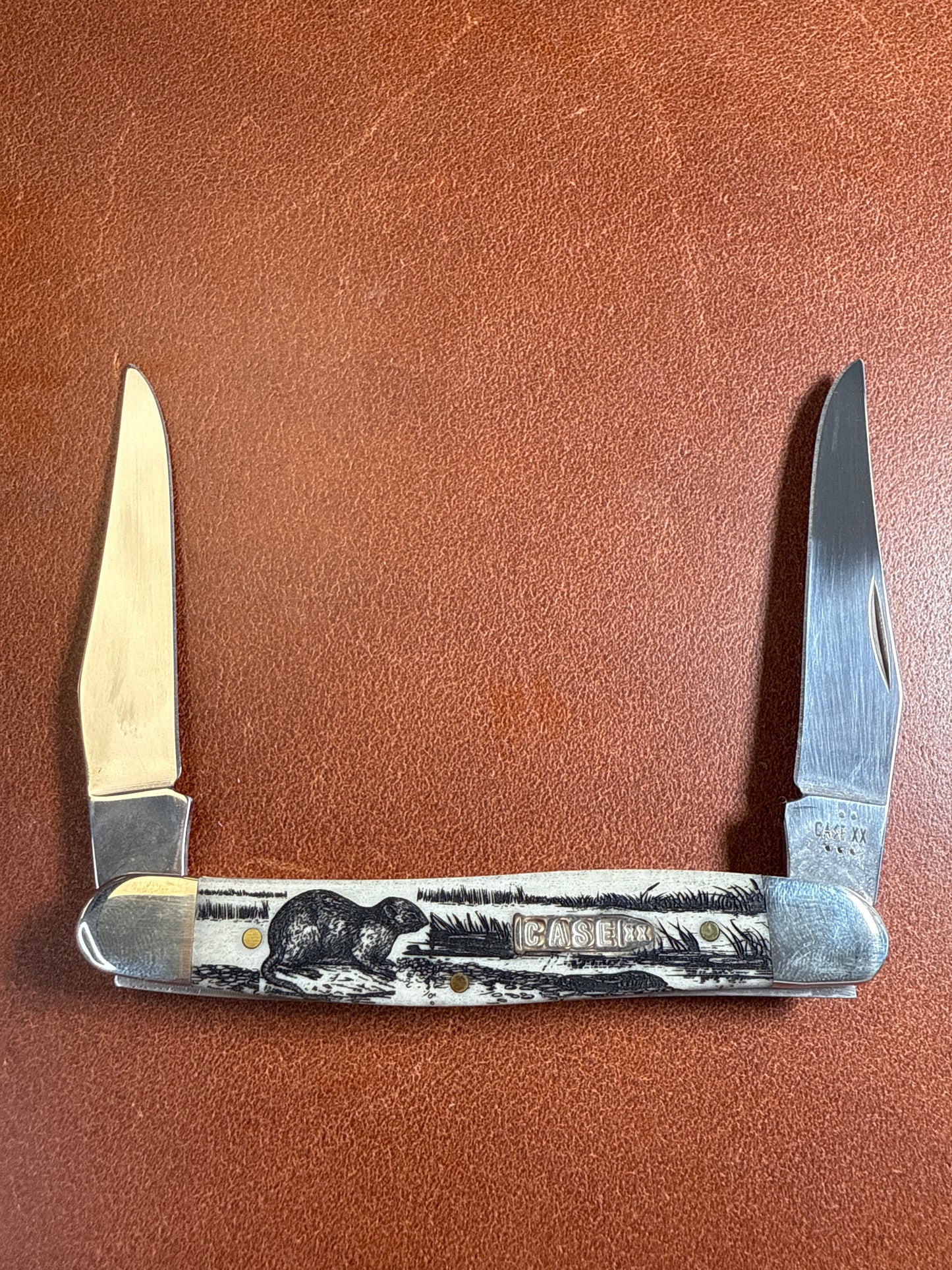 No#12512 Natural bone smooth muskrat