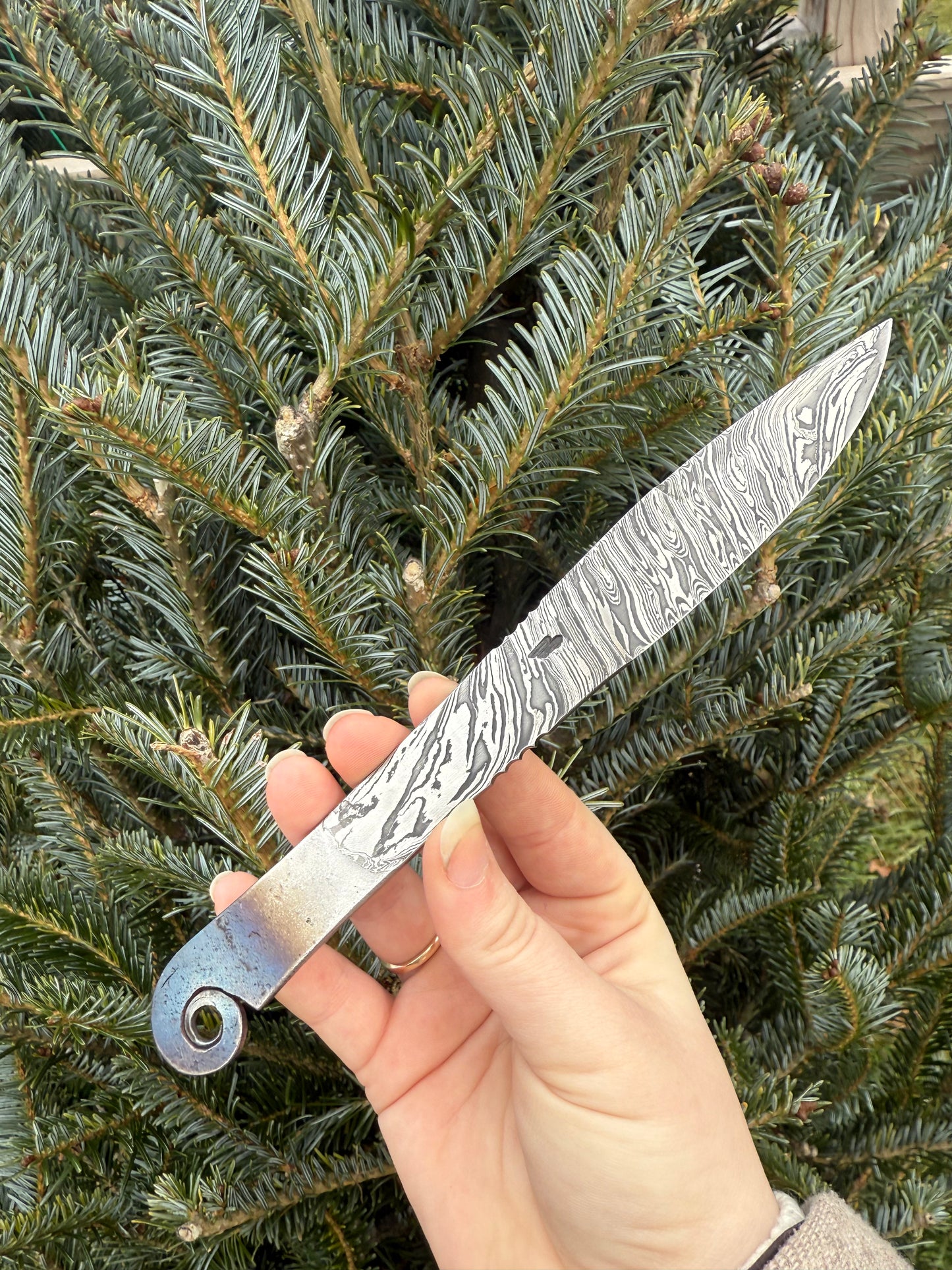 Nick Rossi pocket fixie