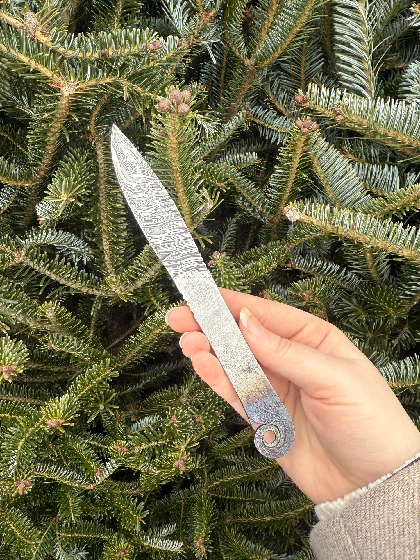 Nick Rossi pocket fixie