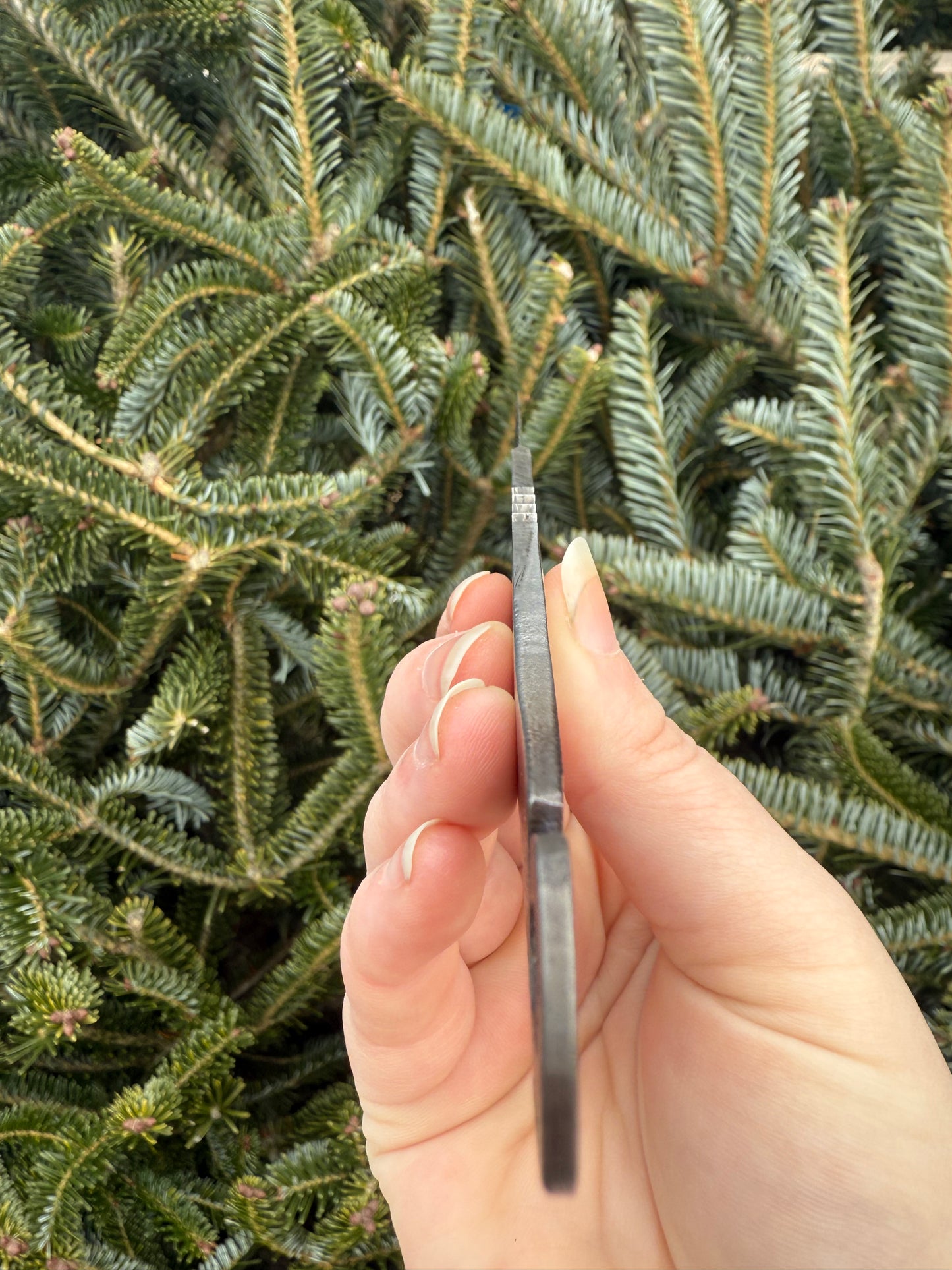 Nick Rossi pocket fixie