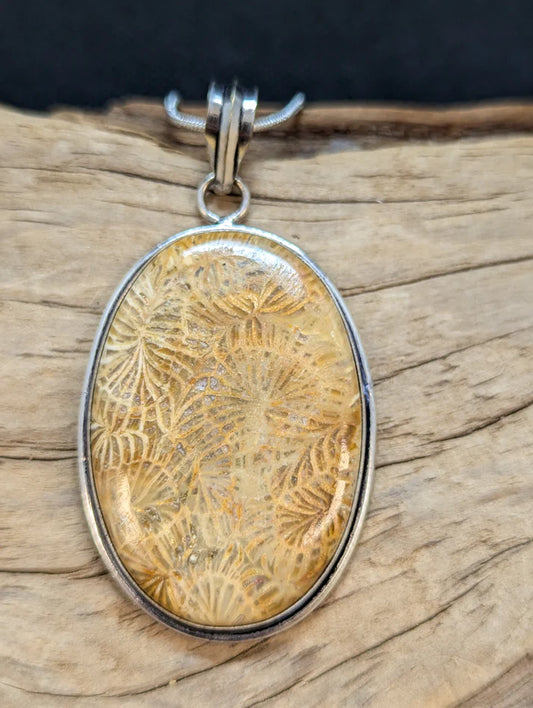 Coral Fossil Necklace